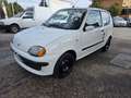 Fiat Seicento 1.1 Hobby con207.000km Neopatentati ok Servosterzo Bianco - thumbnail 4