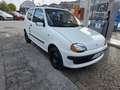 Fiat Seicento 1.1 Hobby con207.000km Neopatentati ok Servosterzo Bianco - thumbnail 3