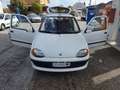 Fiat Seicento 1.1 Hobby con207.000km Neopatentati ok Servosterzo Bianco - thumbnail 12