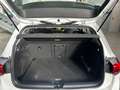 Volkswagen Golf Golf 1.5 TGI DSG Life Bianco - thumbnail 13