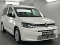 Volkswagen Caddy Life Spurhalteassist Front-Assist 1. Hand Weiß - thumbnail 3