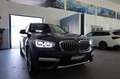 BMW X3 xDrive30e xLine Head-Up HiFi DAB LED RFK Shz Blau - thumbnail 23