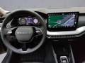 Skoda Octavia Combi Selection 2.0 TDI DSG 150 PS AHK Grau - thumbnail 6