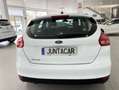 Ford Focus 1.5Ecoblue Active 120 Blanco - thumbnail 6