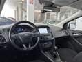 Ford Focus 1.5Ecoblue Active 120 Blanc - thumbnail 13