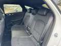 Kia ProCeed / pro_cee'd 1.5 T-GDI DCT7 OPF GT LINE Alb - thumbnail 15