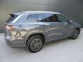 Volkswagen Tayron Friends eHybrid DSG 150kW Grau - thumbnail 6
