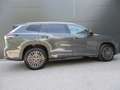 Volkswagen Tayron Friends eHybrid DSG 150kW Grau - thumbnail 8