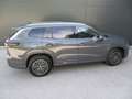 Volkswagen Tayron Friends eHybrid DSG 150kW Grau - thumbnail 7