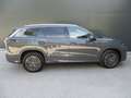 Volkswagen Tayron Friends eHybrid DSG 150kW Grau - thumbnail 9