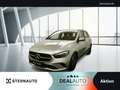 Mercedes-Benz B 250 B 250 4M Standheizung Burmester AHK Distronic Navi Silber - thumbnail 1