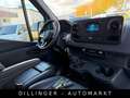 Mercedes-Benz Sprinter 311/314 CDI VA L2H1 KLIMA Kamera AHK Grün - thumbnail 15