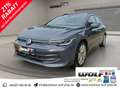 Volkswagen Golf Variant 1.5 eTSI Goal ACC~Light Assist~Rear View~L Grau - thumbnail 1