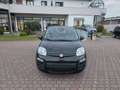 Fiat Panda 1.0 FireFly S&S Hybrid Pop Nero - thumbnail 2