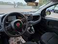Fiat Panda 1.0 FireFly S&S Hybrid Pop Nero - thumbnail 9