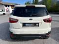 Ford EcoSport 1,5 Ti-VCT "Trend" nur 44000 km Weiß - thumbnail 7