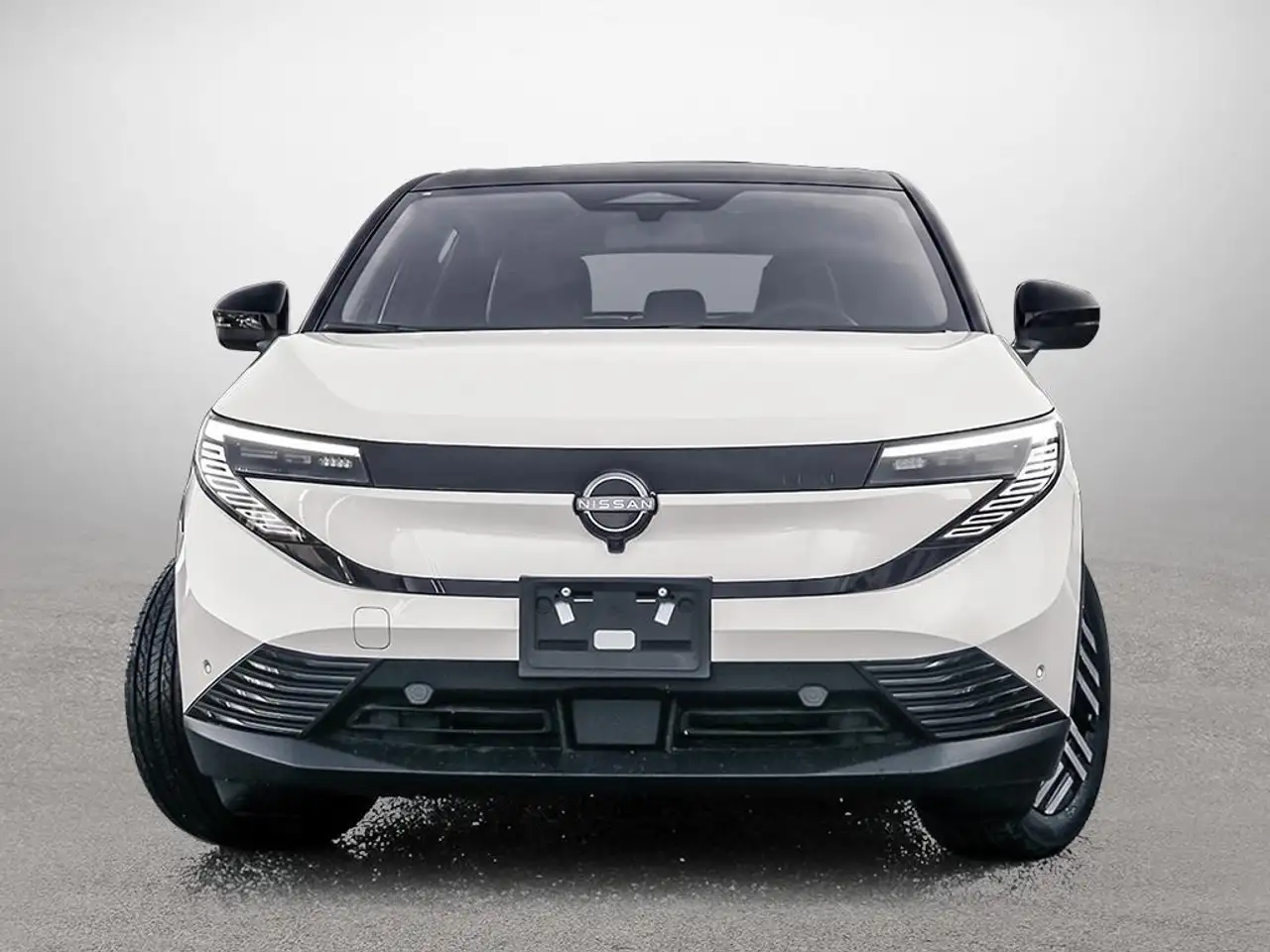 Nissan Leaf fotografie Nissan Leaf