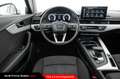 Audi A4 allroad Allroad 40 TDI 204 CV quattro S tronic Business E Bianco - thumbnail 6
