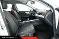 Audi A4 allroad Allroad 40 TDI 204 CV quattro S tronic Business E Bianco - thumbnail 8