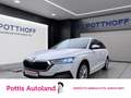 Skoda Octavia Combi 2.0 TDI DSG STYLE NAVI LED HuD SITZHZG Weiß - thumbnail 1