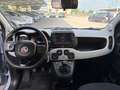 Fiat Panda Panda III 2021 Cross 1.0  hybrid City Cross s Grigio - thumbnail 11
