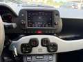 Fiat Panda Panda III 2021 Cross 1.0  hybrid City Cross s Grigio - thumbnail 10