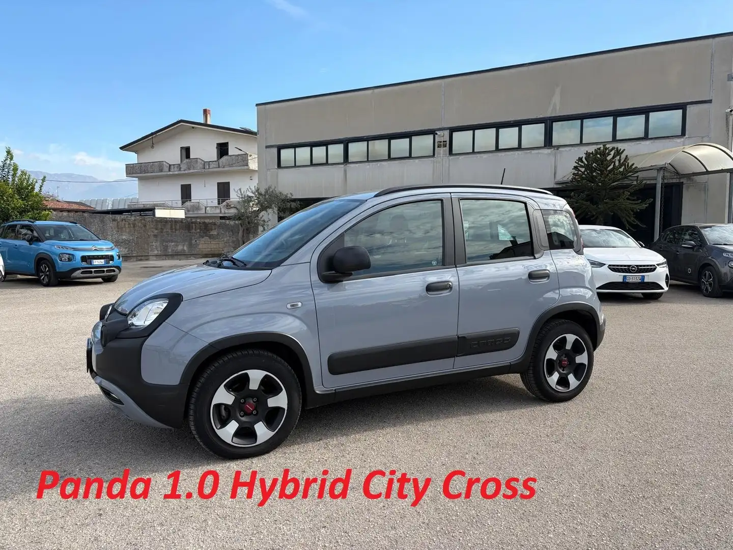 Fiat Panda Panda III 2021 Cross 1.0 hybrid City Cross s Grigio - 1
