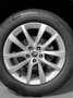 Skoda Kodiaq Ambition Plus 1.5 TSI 110 kW (150 CV) DSG (NS73ND1 Rojo - thumbnail 10