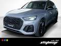 Audi SQ5 TDI 251(341) kW(PS) tiptronic AHK Standhzg. Argent - thumbnail 11