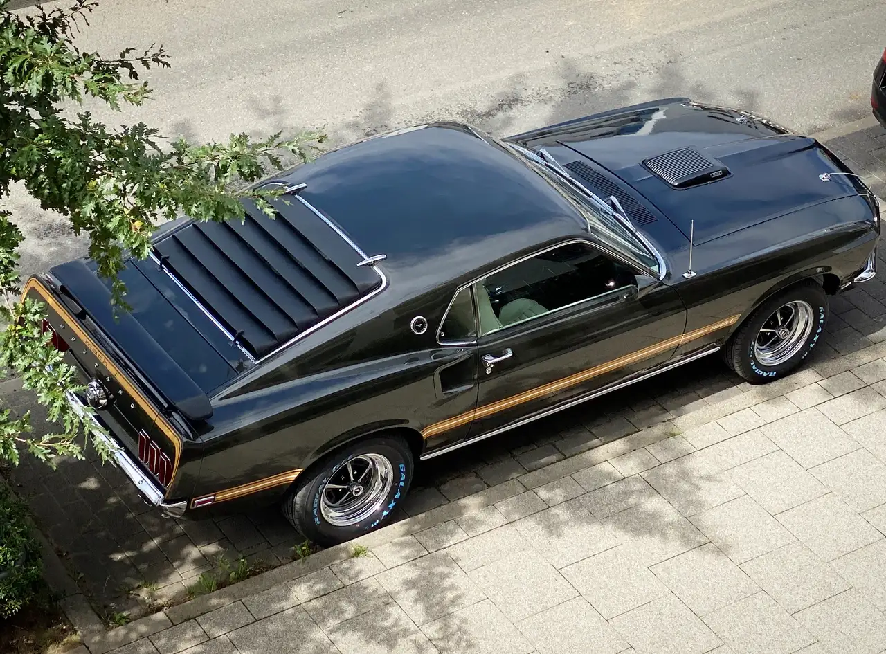 Ford Mustang Mach 1, foto 4