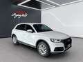 Audi Q5 2.0 tdi quattro 163cv s-tronic - thumbnail 2