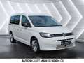 Volkswagen Caddy 2.0 TDI  Maxi 7-SITZE KAMERA APPCON. Blanc - thumbnail 6