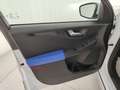 Ford Kuga 2.0 150cv ecoblue ST-LineX AWD !UNICO PROPRIETARIO Blanco - thumbnail 9