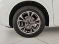 Ford Kuga 2.0 150cv ecoblue ST-LineX AWD !UNICO PROPRIETARIO Blanco - thumbnail 8