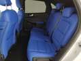 Ford Kuga 2.0 150cv ecoblue ST-LineX AWD !UNICO PROPRIETARIO Blanco - thumbnail 15