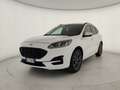 Ford Kuga 2.0 150cv ecoblue ST-LineX AWD !UNICO PROPRIETARIO Blanco - thumbnail 3