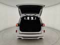 Ford Kuga 2.0 150cv ecoblue ST-LineX AWD !UNICO PROPRIETARIO Blanco - thumbnail 7