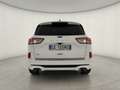 Ford Kuga 2.0 150cv ecoblue ST-LineX AWD !UNICO PROPRIETARIO Blanco - thumbnail 5