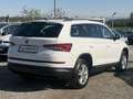 Skoda Kodiaq 2,0 TDI SCR 4x4 Ambition Weiß - thumbnail 4