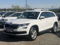 Skoda Kodiaq 2,0 TDI SCR 4x4 Ambition Weiß - thumbnail 1