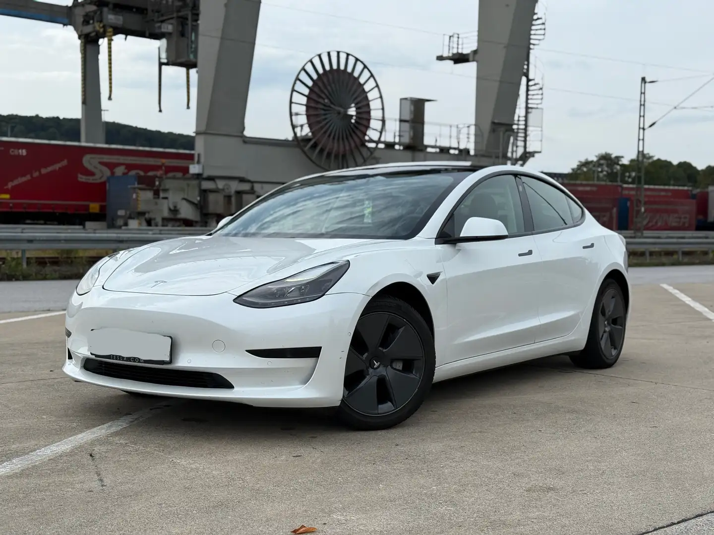 Tesla Model 3 Model 3 Standard Range Plus Weiß - 1