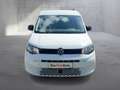 Volkswagen Caddy Family TDI Weiß - thumbnail 7