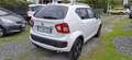 Suzuki Ignis Ignis 1.2 Dualjet Top Bianco - thumbnail 3