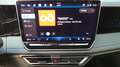 Volkswagen Tiguan 1.5 eTSI 110 kW R-Line Grau - thumbnail 8