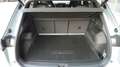 Volkswagen Tiguan 1.5 eTSI 110 kW R-Line Grau - thumbnail 20
