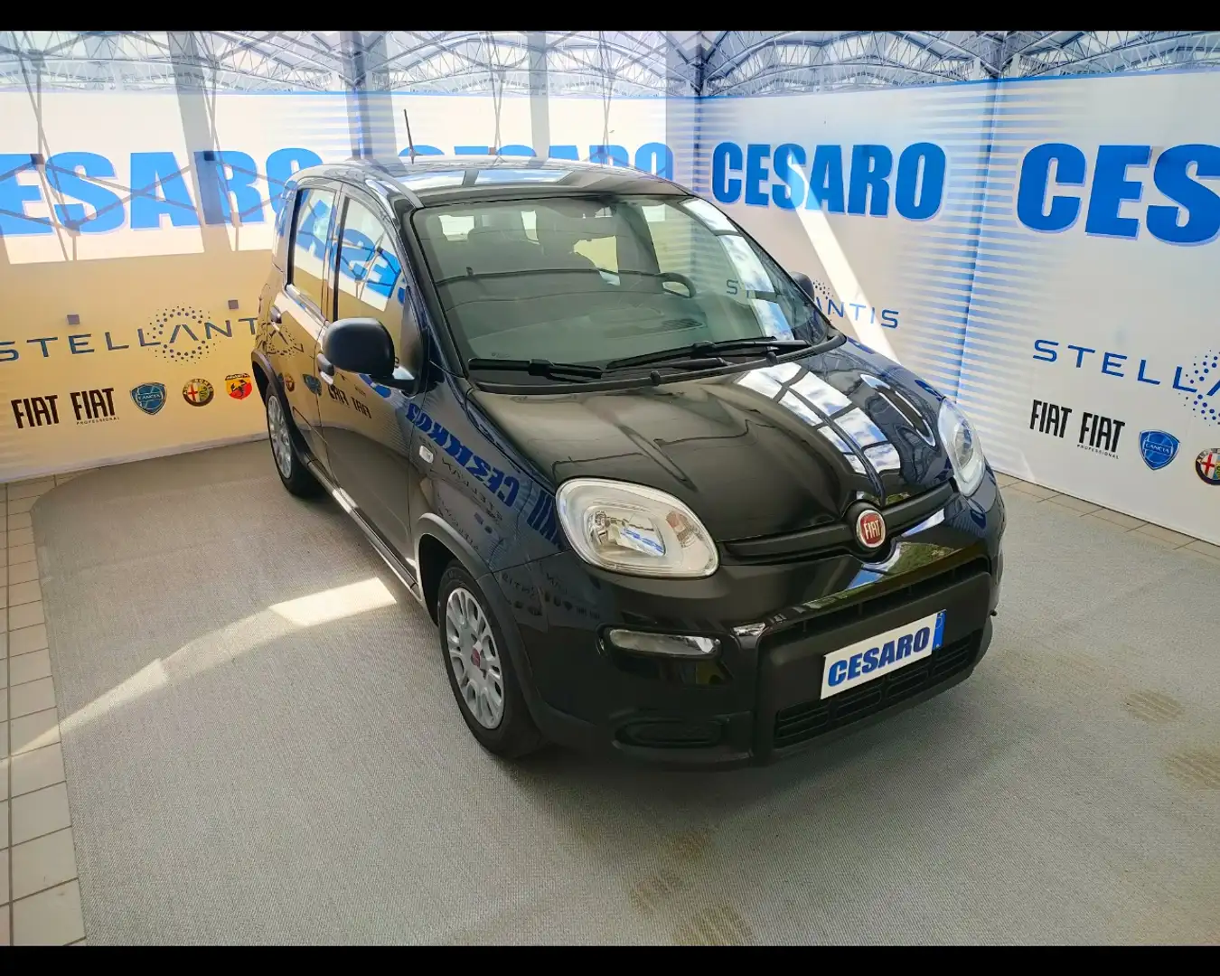Fiat New Panda 1.0 FireFly Hybrid Nero - 1