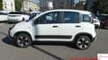 Fiat Panda Panda 1.0 firefly hybrid Cross s&s 70cv 5p.ti Bianco - thumbnail 8