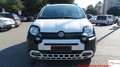 Fiat Panda Panda 1.0 firefly hybrid Cross s&s 70cv 5p.ti Bianco - thumbnail 2