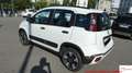 Fiat Panda Panda 1.0 firefly hybrid Cross s&s 70cv 5p.ti Bianco - thumbnail 7
