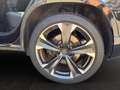 CUPRA Ateca 2.0 4Drive *Akrapovic*Pano*Winter*Beats* Schwarz - thumbnail 11